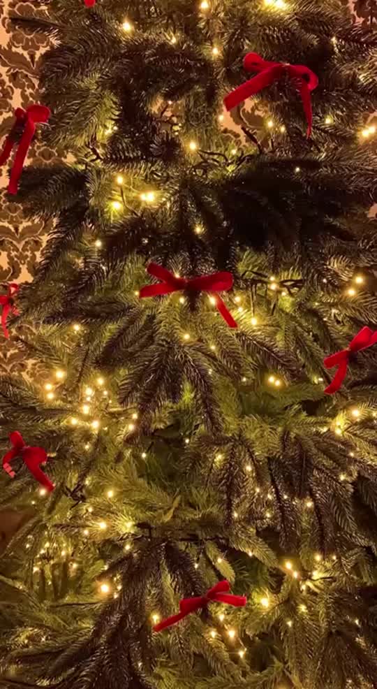 Медовий з чорносливом